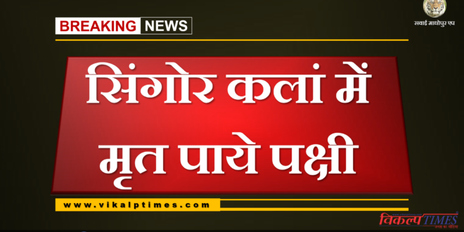 Bird flu news Dead birds found in Singor Kalan in khandar Sawai Madhopur