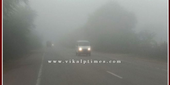 News Winter cold fogg Sawai Madhopur Rajasthan