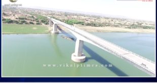 A young man jumps off the Pali Bridge into the Chambal River Sawai Madhopur Rajasthan