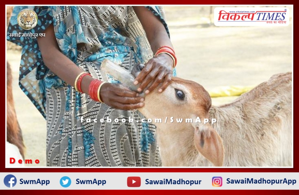 Advisory issued to protect animals from seasonal diseases in Sawai Madhopur