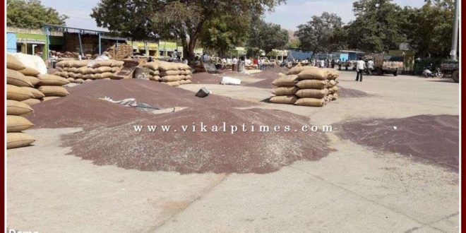 Merchant palledar dispute settled by Additional District Collector in Sawai Madhopur