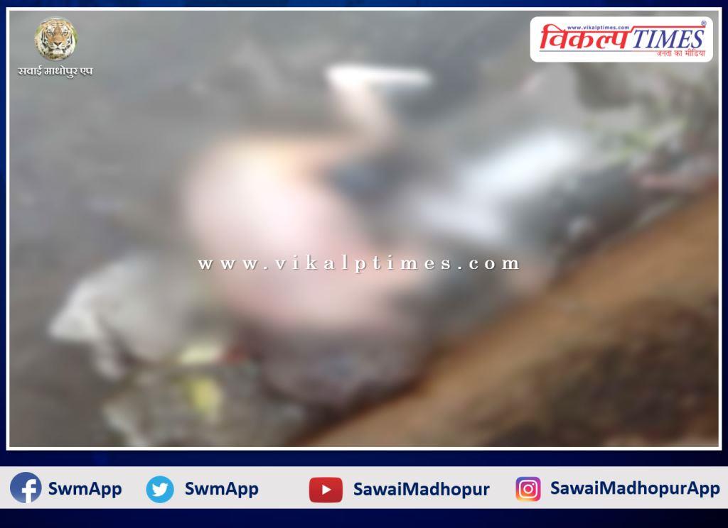Sensation spread after finding the dead body of a newborn in the drain in gangapur city