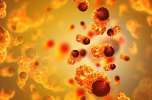 More fast food can also cause cancer