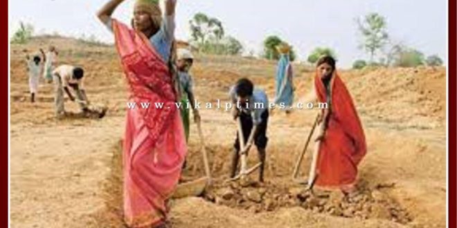 minimum 50 percent female mate in Sawai Madhopur