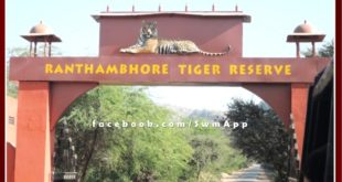 15 tourist vehicles banned in Ranthambore national park