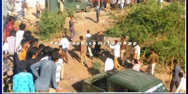 Bear created panic in the population area at khandar sawai madhopur