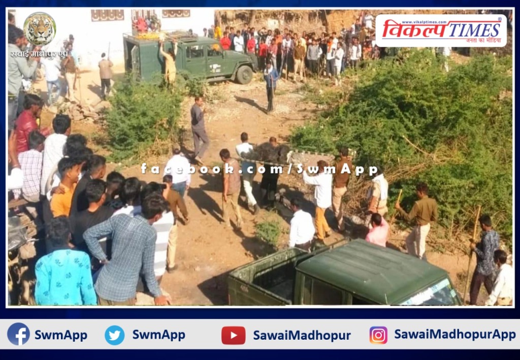 Bear created panic in the population area at khandar sawai madhopur