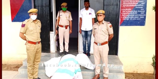 Big action of Malarna Dungar Police, 147 plants of illegal opium seized
