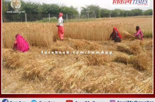 Disappointment on the faces of farmers due weather change