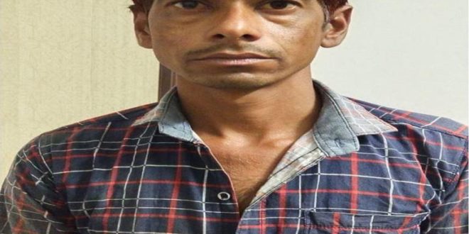 Kotwali police station raids fake ghee factory, arrests one accused in sawai madhopur
