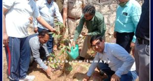 Plantation done on the occasion of World Forest Day in sawai madhopur