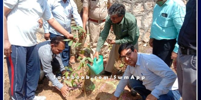 Plantation done on the occasion of World Forest Day in sawai madhopur