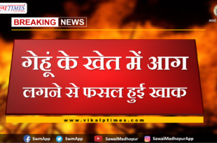 a fire on wheat crops in bonli sawai madhopur