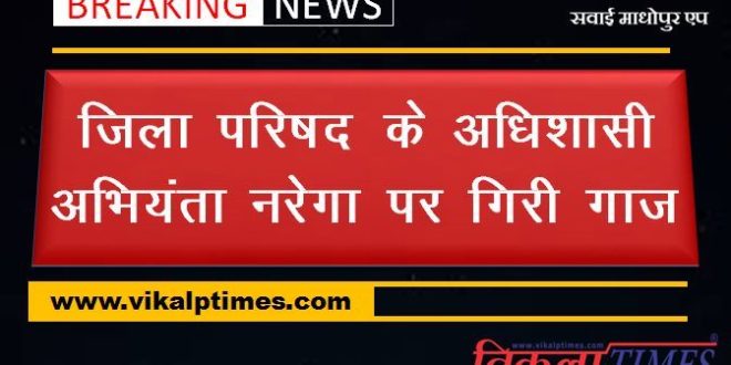 executive-engineer-of-zilla-parishad-nrega-freed-from-work