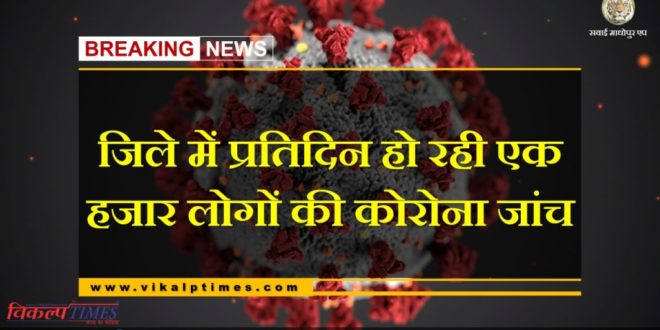 news corona virus sample sawai madhopur rajasthan