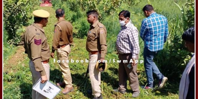 people arrested three accused with 400 grams of opium in Sawai madhopur