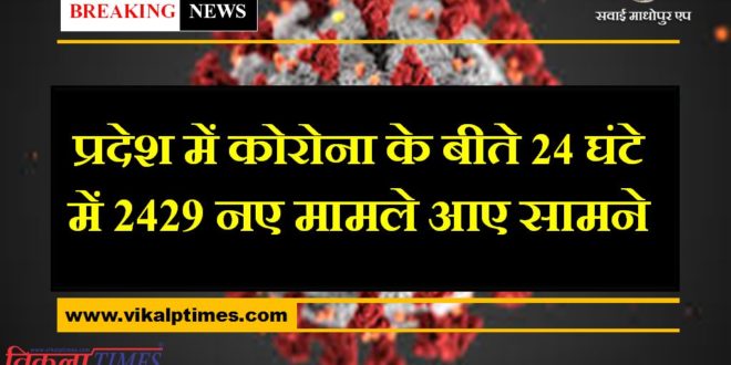 2429 new cases of corona found in the last 24 hours in rajasthan