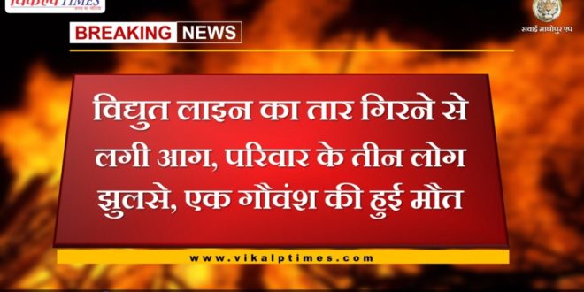 Fire in a hut, three family members scorched, one cow died at bonli