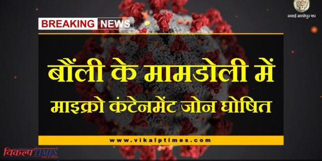 Micro Containment Zone declared in Mamdoli village of bonli sawai madhopur