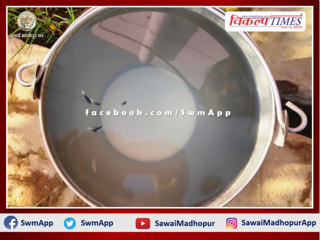 Pigeon wings coming with water in tap supply in Sawai madhopur