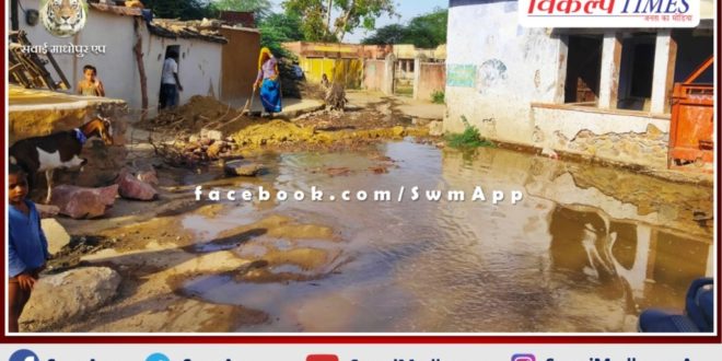 Precious drinking water is flowing in vain due to leakage in malarna chaur Sawai Madhopur