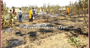 Wheat crop burnt to ashes in sawai madhopur