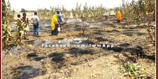 Wheat crop burnt to ashes in sawai madhopur