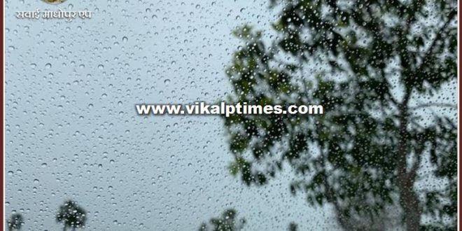 Impact of the Tauktae cyclone in the sawai madhopur