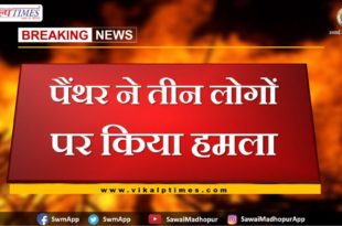 Panther attacked three people in bonli Sawai madhopur