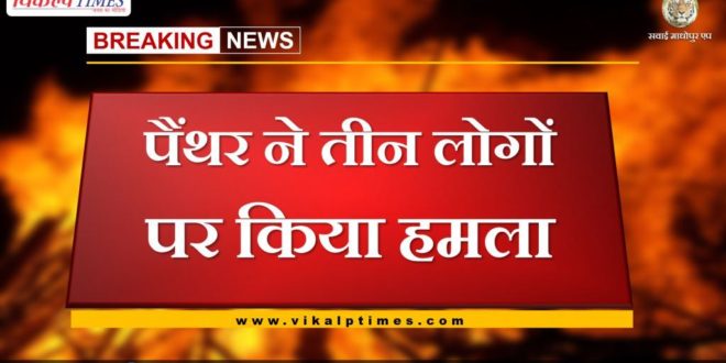 Panther attacked three people in bonli Sawai madhopur