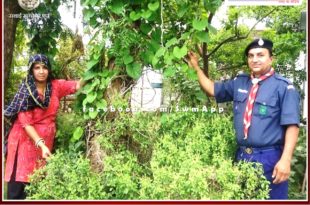 People taking advantage of Neem Giloy, Tulsi and Lemon