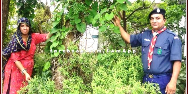 People taking advantage of Neem Giloy, Tulsi and Lemon