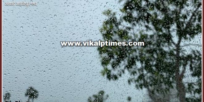 Weather Update Alert issued for light rain in the sawai madhopur with strong winds