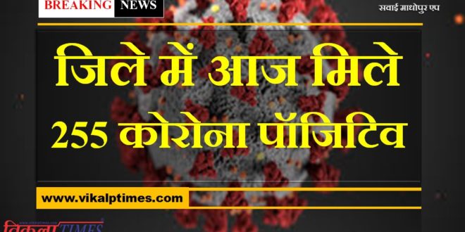 corona virus update 255 corona positive cases found in sawai madhopur