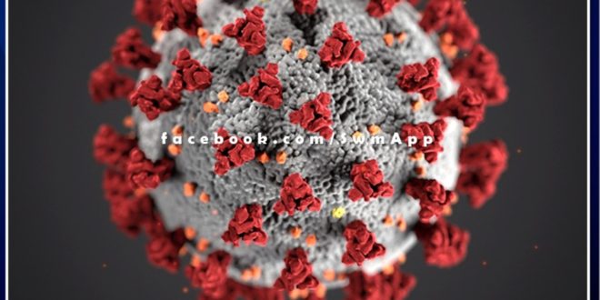 people should introduce further discipline to prevent the spread of corona infection