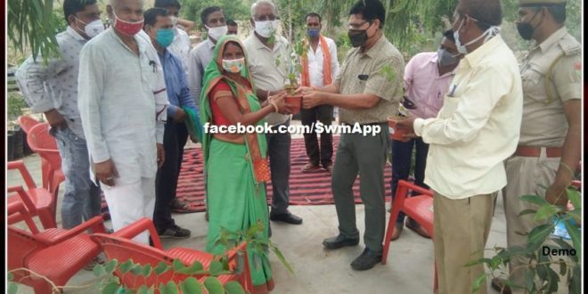Door to door medicinal plant scheme started in sawai madhopur