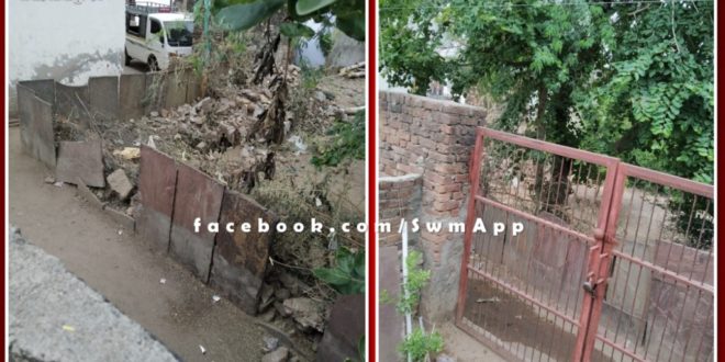 Even on the day of Environment Day, no did come baj from cutting tree in sawai madhopur