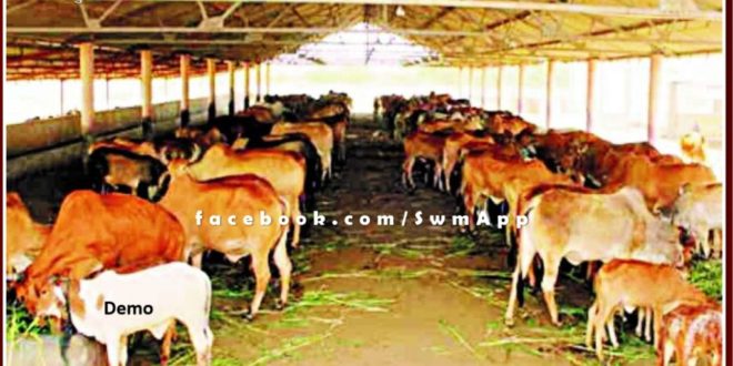 Grant amount of Rs 97 lakh 77 thousand approved for 8 Gaushalas in sawai madhopur