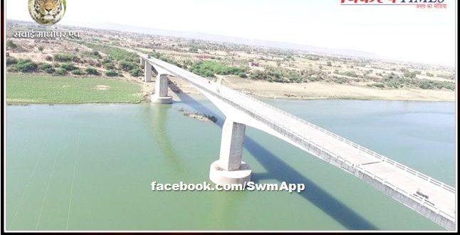 News Khandar Sawai Madhopur Rajasthan MP Border, Information of young man jumping from Pali Bridge into Chambal river