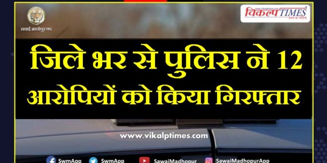 Police arrested 12 accused from sawai madhopur
