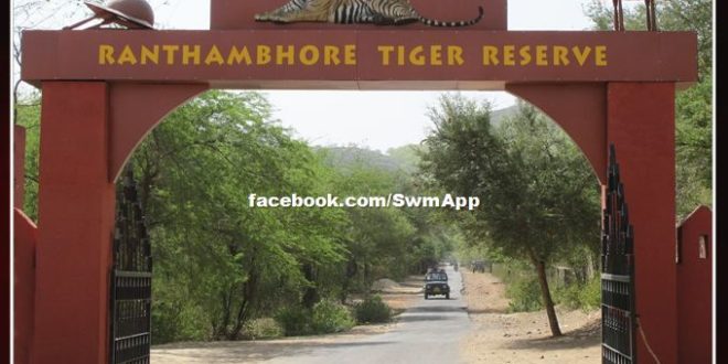 Ranthambore National Park will open for tourists from tomorrow