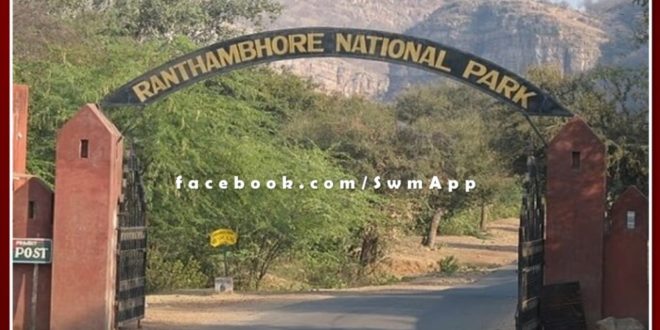 Section 144 applied from July 1 to stop illegal grazing in Ranthambore Park area
