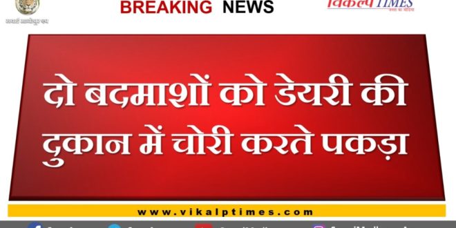 Two miscreants caught stealing in a dairy shop by police in sawai madhopur