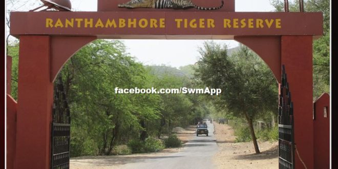 Wildlife tourism can start in rajasthan from June 8 !