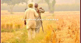 Agriculture department gave information about crop insurance in sawai madhopur