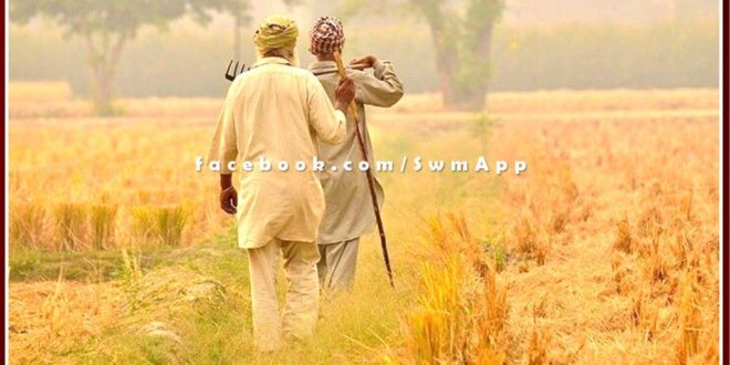 Agriculture department gave information about crop insurance in sawai madhopur