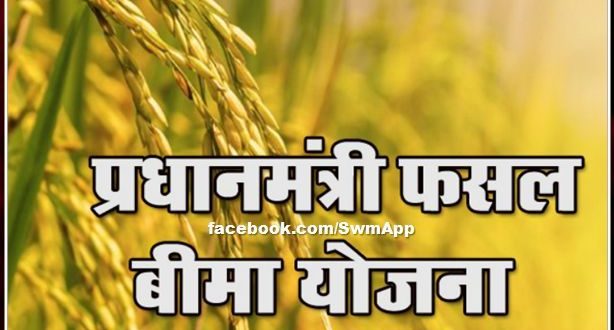 Farmers should get their crops insured before the last date in sawai madhopur