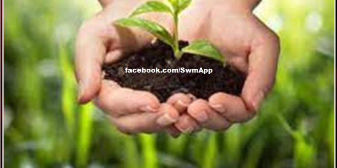 From tomorrow door-to-door distribution of medicinal plants in sawai madhopur