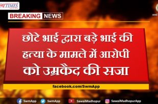 Life imprisonment to the accused in the murder of elder brother by younger brother