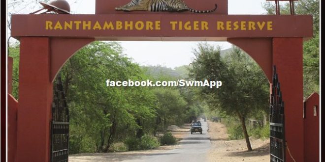 Ranthambore Tiger Park will now open on Sunday also